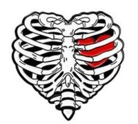 Pin esmaltado en forma de corazón con respaldo de seguridad., Esmalte, Sin gemas.