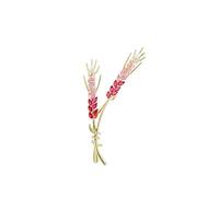 Pin Jewelry Gifts for Women 1 PCS Brooches,Fashion Brooch Pins for Women Shawl Collar Shirt Pin Buttons Brooches, for Girls Costume Accessory Brooches & Pins