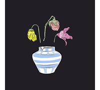 PINACT - PART THAT NO ONE KNOWS VINYL,T [Vinilo]