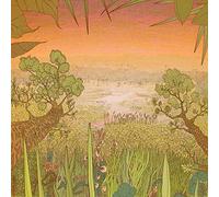 Pine barons - Mirage on the meadow [Vinilo]