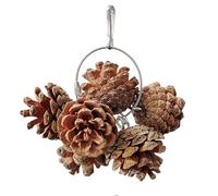 Pine Cone Parrot Chew Toy - Juguete de pájaro de 3,94 pulgadas | Wood Parrot Toys - Durable Conure Entertainment Gear with Rich Textures and 50g Weight is ideal for Promoting Healthy Play in Cages
