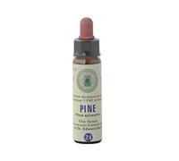 Pine n° 24 Flores de Bach Originales farmaflor