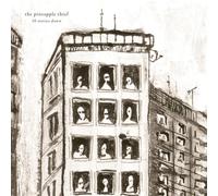 Pineapple Thief,the - 10 Stories Down ( 20th Anniversary Marble LP ) [Vinilo]