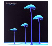 Pineapple Thief - Build A World