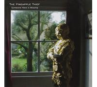 Pineapple Thief - Someone There Is