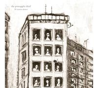 Pineapple Thief,the - 10 Stories Down ( 20th Anniversary Marble LP ) [Vinilo]