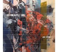 Pineapple Thief,the - Last To Run