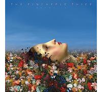 Pineapple Thief, The – Magnolia – Vinilo