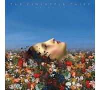 Pineapple Thief,the - Magnolia [Vinilo]
