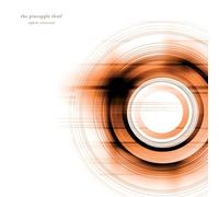 Pineapple Thief,the - Tightly Unwound (2025 Mix) [Vinilo]