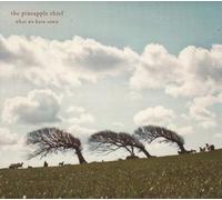 Pineapple Thief - What We Have Sown