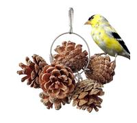 Pinecone Parrot Chew Toy - Juguete de masticación para pájaros, cono de pino natural, juguete para masticar para pájaros | Juguetes de jaula para pájaros para macaw de tamaño pequeño a mediano