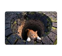 Pineeseatile Alfombra 3D, Alfombra 3D, Felpudo de Abismo sin Fin de 40 x 60 cm con Terciopelo de Cristal Suave y Respaldo Antideslizante, decoración única para el hogar para Entrada, baño, Cocina