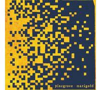 Pinegrove - Marigold (LP)
