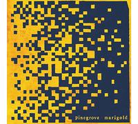 Pinegrove - Marigold (LP)