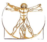 Pines esmaltados: Mona Lisa & Vitruvian Man, Klein, Metal no precioso