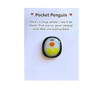 PingüIno Abrazo Bolsillo, Mini Regalo Para PequeñO Lindo Tarjeta Pinguino Pinguino Pocket Hug de Penguin Gift Adornos Llavero Motivacional Figuras un DecoracióN Adorno Alentadora Regalo (1 Piezas)
