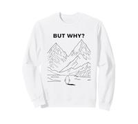 Pingüino Solitario marchando hacia la montaña desorientado, Pero por qué Sudadera