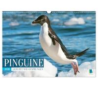 Pingüinos: Gehupft wie gesspungen (Wandkalender 2026 DIN A3 horizontal), CALVENDO Monatskalender: Penguine: laden zum Schrizeln und Lachen ein (CALVENDO Tiere)