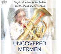 Pinguin Moschner - Uncovered Mermen. Pinguin Moschner & Joe Sachse play the music of Jimi Hendrix