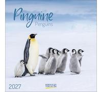 Pinguine 2027: Broschürenkalender mit Ferienterminen. 30 x 30 cm - Wandkalender
