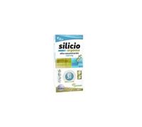 Pinisan Silicio Orgánico 250 mg 250 ml