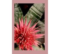 Pink Bloom: Bright Floral Notebook for Girls, Students, and Creative Writing - Perfect for School Notes, Journaling, Planning, and Daily Inspiration