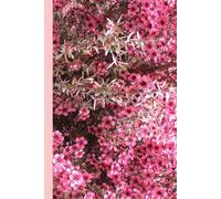 Pink Bloom Notebook: Aesthetic Flower Notebook for Study Notes, Personal Reflections, Creative Thoughts & Daily Planning