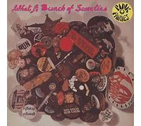Pink Fairies - ホワット・ア・バンチ・オブ・スイーティーズ