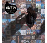Pink Floyd A Foot in the Door: The Best of Pink Floyd (Vinyl) 12" Album