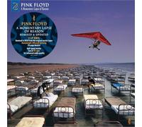 Pink Floyd A Momentary Lapse of Reason (2019 Remix) (Vinyl) 12" Album
