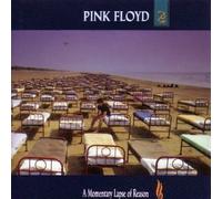 Pink Floyd - A Momentary Lapse of Reason