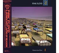 Pink Floyd - A Momentary Lapse of Reason