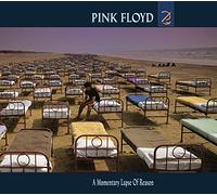 Pink Floyd - A Momentary Lapse Of Reason.