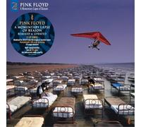 Pink Floyd A Momentary Lapse of Reason (2019 Remix) (Vinyl) (Importación USA)