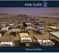 Pink Floyd - A Momentary Lapse Of Reason.