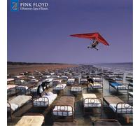 Pink Floyd A Momentary Lapse of Reason: Remixed & Upda (Vinyl) (Importación USA)