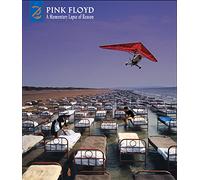 Pink Floyd - A Momentary Lapse Of Reason: Remixed & Updated [Deluxe CD/DVD]