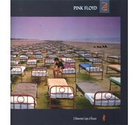Pink Floyd - A momentary lapse of reason [Vinyl LP]
