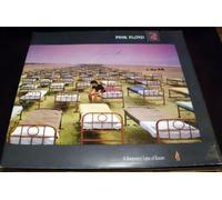 Pink Floyd - A momentary lapse of reason [Vinyl LP]