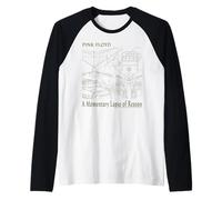 Pink Floyd, álbum de A Momentary Lapse of Reason, Dog Tanks Camiseta Manga Raglan
