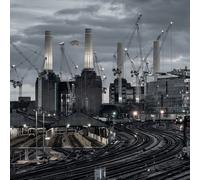 Animals (2018 Remix) [Vinilo]