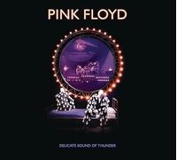 Pink Floyd - Delicate Sound Of Thunder [2 CD]