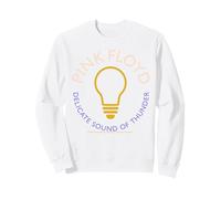 Pink Floyd Delicate Sound of Thunder Album Tour Bombilla Sudadera