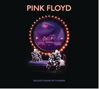 Pink Floyd Delicate Sound Of Thunder (CD) (Importación USA)