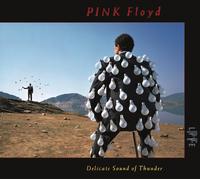 Pink Floyd – Delicate Sound of Thunder – CD – Importación USA