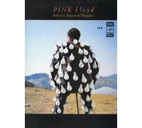PINK FLOYD - delicate sound of thunder LP