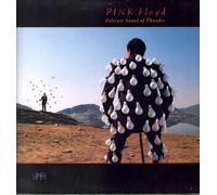 Pink Floyd - Delicate sound of thunder [Vinyl LP]