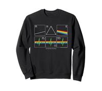 Pink Floyd El lado oscuro de la luna 50 latido del corazón Sudadera