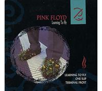 Pink Floyd - Learning To Fly